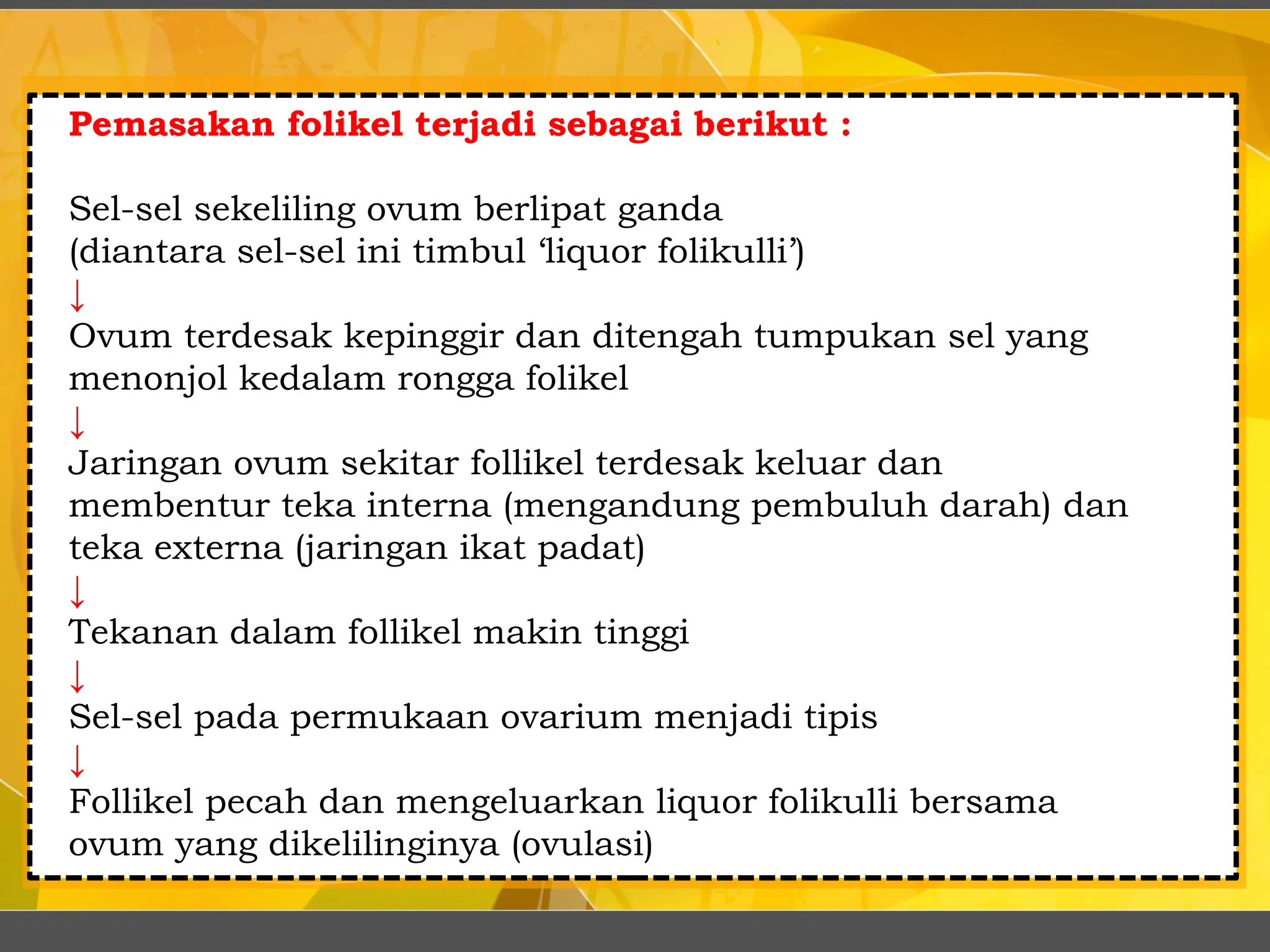 Pemasakan folikel terjadi sebagai berikut :
Sel-sel sekeliling ovum berlipat ganda
(diantara sel-sel ini timbul ‘liquor folikulli’)
↓
Ovum terdesak kepinggir dan ditengah tumpukan sel yang
menonjol kedalam rongga folikel
↓
Jaringan ovum sekitar follikel terdesak keluar dan
membentur teka interna (mengandung pembuluh darah) dan
teka externa (jaringan ikat padat)
↓
Tekanan dalam follikel makin tinggi
↓
Sel-sel pada permukaan ovarium menjadi tipis
↓
Follikel pecah dan mengeluarkan liquor folikulli bersama
ovum yang dikelilinginya (ovulasi)
 