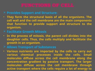 Support Function Cell 2. structureofcell-201006072001.....pptx