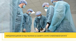 Корпус Державного біотехнологічного університету м. Ужгород