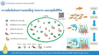 สถาบันส่งเสริมการสอนวิทยาศาสตร์และเทคโนโลยี
ครูวิชัยลิขิตพรรักษ์ ตาแหน่งครู วิทยฐานะครูชานาญการพิเศษ(คศ.3)กลุ่มสาระการเรียนรู้วิทยาศาสตร์และเทคโนโลยี โรงเรียนวัดราชบพิธ สพม.กท.1
 
