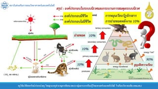 สถาบันส่งเสริมการสอนวิทยาศาสตร์และเทคโนโลยี
ครูวิชัยลิขิตพรรักษ์ ตาแหน่งครู วิทยฐานะครูชานาญการพิเศษ(คศ.3)กลุ่มสาระการเรียนรู้วิทยาศาสตร์และเทคโนโลยี โรงเรียนวัดราชบพิธ สพม.กท.1
สรุป : องค์ประกอบในระบบนิเวศและกระบวนการสมดุลระบบนิเวศ
องค์ประกอบมีชีวิต
องค์ประกอบไม่มีชีวิต
การหมุนเวียนวัฏจักรสาร
การถ่ายทอดพลังงาน 10%
90%
10%
10%
10% สูญเสียความร้อน
ถ่ายทอด
 