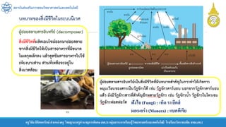 สถาบันส่งเสริมการสอนวิทยาศาสตร์และเทคโนโลยี
ครูวิชัยลิขิตพรรักษ์ ตาแหน่งครู วิทยฐานะครูชานาญการพิเศษ(คศ.3)กลุ่มสาระการเรียนรู้วิทยาศาสตร์และเทคโนโลยี โรงเรียนวัดราชบพิธ สพม.กท.1
ฟังไจ (Fungi) : เห็ด รา ยีตส์
มอเนอร่า (Monera) : แบคทีเรีย
 