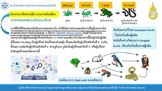 สถาบันส่งเสริมการสอนวิทยาศาสตร์และเทคโนโลยี
ครูวิชัยลิขิตพรรักษ์ ตาแหน่งครู วิทยฐานะครูชานาญการพิเศษ(คศ.3)กลุ่มสาระการเรียนรู้วิทยาศาสตร์และเทคโนโลยี โรงเรียนวัดราชบพิธ สพม.กท.1
อันดับการบริโภค (consumer level)
: ไม่นับเริ่มต้นผู้ผลิต
ลาดับในห่วงโซ่อาหาร (trophic
level) : ต้องนับเริ่มต้นจากผู้ผลิต
100 kcal
กินอาหารทิศทางเดียว อาหารชนิดเดียว
สายใยอาหาร (food web) หลายทิศทาง
10 kcal 1 kcal 0.1 kcal
 