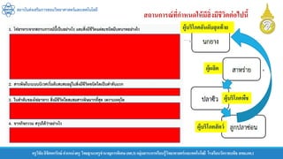 สถาบันส่งเสริมการสอนวิทยาศาสตร์และเทคโนโลยี
ครูวิชัยลิขิตพรรักษ์ ตาแหน่งครู วิทยฐานะครูชานาญการพิเศษ(คศ.3)กลุ่มสาระการเรียนรู้วิทยาศาสตร์และเทคโนโลยี โรงเรียนวัดราชบพิธ สพม.กท.1
สถานการณ์ที่กาหนดให้มีสิ่งมีชีวิตต่อไปนี้
ผู้ผลิต
ผู้บริโภคพืช
ผู้บริโภคสัตว์
ผู้บริโภคอันดับสุดท้าย
 