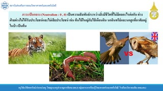 สถาบันส่งเสริมการสอนวิทยาศาสตร์และเทคโนโลยี
ครูวิชัยลิขิตพรรักษ์ ตาแหน่งครู วิทยฐานะครูชานาญการพิเศษ(คศ.3)กลุ่มสาระการเรียนรู้วิทยาศาสตร์และเทคโนโลยี โรงเรียนวัดราชบพิธ สพม.กท.1
ภาวะเป็นกลาง (Neutralism : 0 , 0) เป็นความสัมพันธ์ระหว่างสิ่งมีชีวิตที่ไม่มีผลอะไรต่อกันต่าง
ฝ่ ายต่างไม่ได้รับประโยชน์และไม่เสียประโยชน์ เช่น ต้นไม้ใหญ่กับไส้เดือนดิน นกอินทรีย์และนกฮูกที่อาศัยอยู่
ในป่ า เป็นต้น
 