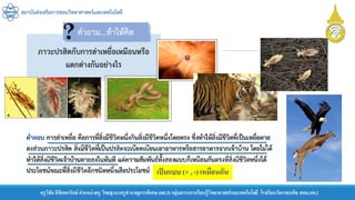 สถาบันส่งเสริมการสอนวิทยาศาสตร์และเทคโนโลยี
ครูวิชัยลิขิตพรรักษ์ ตาแหน่งครู วิทยฐานะครูชานาญการพิเศษ(คศ.3)กลุ่มสาระการเรียนรู้วิทยาศาสตร์และเทคโนโลยี โรงเรียนวัดราชบพิธ สพม.กท.1
เป็นแบบ (+ , -) เหมือนกัน
 