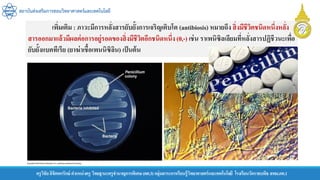 สถาบันส่งเสริมการสอนวิทยาศาสตร์และเทคโนโลยี
ครูวิชัยลิขิตพรรักษ์ ตาแหน่งครู วิทยฐานะครูชานาญการพิเศษ(คศ.3)กลุ่มสาระการเรียนรู้วิทยาศาสตร์และเทคโนโลยี โรงเรียนวัดราชบพิธ สพม.กท.1
เพิ่มเติม : ภาวะมีการหลั่งสารยับยั้งการเจริญเติบโต (antibiosis) หมายถึง สิ่งมีชีวิตชนิดหนึ่งหลั่ง
สารออกมาแล้วมีผลต่อการอยู่รอดของสิ่งมีชีวิตอีกชนิดหนึ่ง(0,-) เช่น ราเพนิซิลเลียมที่หลั่งสารปฏิชีวนะเพื่อ
ยับยั้งแบคทีเรีย (ยาฆ่าเชื้อเพนนิซิลิน) เป็นต้น
 