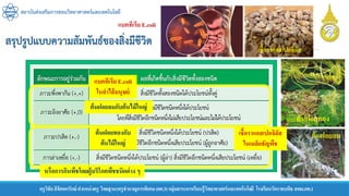 สถาบันส่งเสริมการสอนวิทยาศาสตร์และเทคโนโลยี
ครูวิชัยลิขิตพรรักษ์ ตาแหน่งครู วิทยฐานะครูชานาญการพิเศษ(คศ.3)กลุ่มสาระการเรียนรู้วิทยาศาสตร์และเทคโนโลยี โรงเรียนวัดราชบพิธ สพม.กท.1
แบคทีเรีย E.coli
ในลาไส้มนุษย์
เชื้อราแอสเปอจิลัส
ต้นฝอยทอง
ต้นฝอยลม
เชื้อราแอสเปอจิลัส
ในเมล็ดธัญพืช
แบคทีเรีย E.coli
ต้นฝอยทองกับ
ต้นไม้ใหญ่
ต้นฝอยลมกับต้นไม้ใหญ่
หรือการกินพืชโดยผู้บริโภคพืชชนิดต่าง ๆ
 