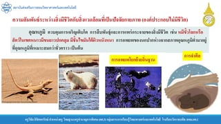 สถาบันส่งเสริมการสอนวิทยาศาสตร์และเทคโนโลยี
ครูวิชัยลิขิตพรรักษ์ ตาแหน่งครู วิทยฐานะครูชานาญการพิเศษ(คศ.3)กลุ่มสาระการเรียนรู้วิทยาศาสตร์และเทคโนโลยี โรงเรียนวัดราชบพิธ สพม.กท.1
อุณหภูมิ ควบคุมการเจริญเติบโต การสืบพันธุ์และการแพร่กระจายของสิ่งมีชีวิต เช่น หมีขั้วโลกหรือ
สัตว์ในเขตหนาวมีขนยาวปกคลุม มีชั้นไขมันใต้ผิวหนังหนา การอพยพของนกปากห่างจากสภาพอุณหภูมิต่ามาอยู่
ที่อุณหภูมิที่เหมาะสมกว่าชั่วคราว เป็นต้น
การอพยพโยกย้ายถิ่นฐาน
การจาศีล
ความสัมพันธ์ระหว่างสิ่งมีชีวิตกับสิ่งแวดล้อมที่เป็นปัจจัยกายภาพ (องค์ประกอบไม่มีชีวิต)
 