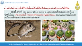 สถาบันส่งเสริมการสอนวิทยาศาสตร์และเทคโนโลยี
ครูวิชัยลิขิตพรรักษ์ ตาแหน่งครู วิทยฐานะครูชานาญการพิเศษ(คศ.3)กลุ่มสาระการเรียนรู้วิทยาศาสตร์และเทคโนโลยี โรงเรียนวัดราชบพิธ สพม.กท.1
ความชื้นหรือน้า เช่น หนูแกงการูเป็นสัตว์ทะเลทราย โดยกินเมล็ดพืชที่แห้งเป็นอาหารเท่านั้นโดย
ไม่ได้ดื่มน้าเลย แต่ร่างกายผลิตน้าจากเมแทบอลิซึมและมีการสูญเสียน้าน้อยมาก ต้นกระบองเพชรอวบน้าเพื่อกัก
เก็บน้าและเปลี่ยนใบเป็นหนามเพื่อลดการคายน้า เป็นต้น
หนูแกงการูเป็นสัตว์ทะเลทราย
ความสัมพันธ์ระหว่างสิ่งมีชีวิตกับสิ่งแวดล้อมที่เป็นปัจจัยกายภาพ (องค์ประกอบไม่มีชีวิต)
 