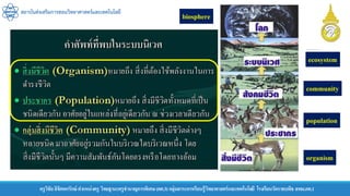 สถาบันส่งเสริมการสอนวิทยาศาสตร์และเทคโนโลยี
ครูวิชัยลิขิตพรรักษ์ ตาแหน่งครู วิทยฐานะครูชานาญการพิเศษ(คศ.3)กลุ่มสาระการเรียนรู้วิทยาศาสตร์และเทคโนโลยี โรงเรียนวัดราชบพิธ สพม.กท.1
organism
population
community
ecosystem
biosphere
 
