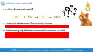 สถาบันส่งเสริมการสอนวิทยาศาสตร์และเทคโนโลยี
ครูวิชัยลิขิตพรรักษ์ ตาแหน่งครู วิทยฐานะครูชานาญการพิเศษ(คศ.3)กลุ่มสาระการเรียนรู้วิทยาศาสตร์และเทคโนโลยี โรงเรียนวัดราชบพิธ สพม.กท.1
 
