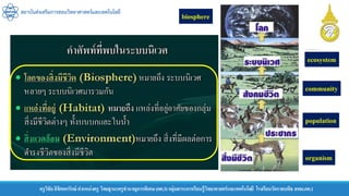 สถาบันส่งเสริมการสอนวิทยาศาสตร์และเทคโนโลยี
ครูวิชัยลิขิตพรรักษ์ ตาแหน่งครู วิทยฐานะครูชานาญการพิเศษ(คศ.3)กลุ่มสาระการเรียนรู้วิทยาศาสตร์และเทคโนโลยี โรงเรียนวัดราชบพิธ สพม.กท.1
organism
population
community
ecosystem
biosphere
 