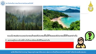 สถาบันส่งเสริมการสอนวิทยาศาสตร์และเทคโนโลยี
ครูวิชัยลิขิตพรรักษ์ ตาแหน่งครู วิทยฐานะครูชานาญการพิเศษ(คศ.3)กลุ่มสาระการเรียนรู้วิทยาศาสตร์และเทคโนโลยี โรงเรียนวัดราชบพิธ สพม.กท.1
 