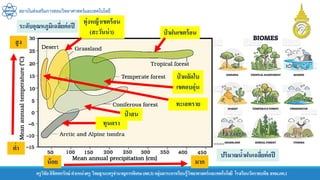 สถาบันส่งเสริมการสอนวิทยาศาสตร์และเทคโนโลยี
ครูวิชัยลิขิตพรรักษ์ ตาแหน่งครู วิทยฐานะครูชานาญการพิเศษ(คศ.3)กลุ่มสาระการเรียนรู้วิทยาศาสตร์และเทคโนโลยี โรงเรียนวัดราชบพิธ สพม.กท.1
ระดับอุณหภูมิเฉลี่ยต่อปี
ปริมาณน้าฝนเฉลี่ยต่อปี
ป่ าฝนเขตร้อน
มาก
น้อย
สูง
ต่า
ทุนดรา
ทะเลทราย
ทุ่งหญ้าเขตร้อน
(สะวันน่า)
ป่ าผลัดใบ
เขตอบอุ่น
ป่ าสน
 