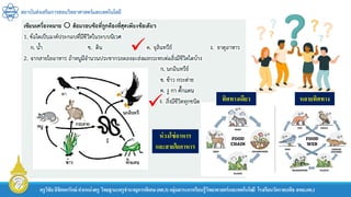 สถาบันส่งเสริมการสอนวิทยาศาสตร์และเทคโนโลยี
ครูวิชัยลิขิตพรรักษ์ ตาแหน่งครู วิทยฐานะครูชานาญการพิเศษ(คศ.3)กลุ่มสาระการเรียนรู้วิทยาศาสตร์และเทคโนโลยี โรงเรียนวัดราชบพิธ สพม.กท.1


ห่วงโซ่อาหาร
และสายใยอาหาร
ทิศทางเดียว หลายทิศทาง
 
