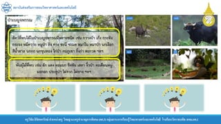 สถาบันส่งเสริมการสอนวิทยาศาสตร์และเทคโนโลยี
ครูวิชัยลิขิตพรรักษ์ ตาแหน่งครู วิทยฐานะครูชานาญการพิเศษ(คศ.3)กลุ่มสาระการเรียนรู้วิทยาศาสตร์และเทคโนโลยี โรงเรียนวัดราชบพิธ สพม.กท.1
สัตว์ที่พบได้ในป่าเบญจพรรณมีหลายชนิด เช่น กวางป่า เก้ง กระทิง
กระจง หมีควาย หมูป่า ลิง ค่าง ชะนี ชะมด หมาใน หมาป่า นกเงือก
สีน้าตาล นกกก นกขุนทอง ไก่ป่า กบภูเขา กิ้งก่า ตะกวด ฯลฯ
 