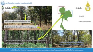 สถาบันส่งเสริมการสอนวิทยาศาสตร์และเทคโนโลยี
ครูวิชัยลิขิตพรรักษ์ ตาแหน่งครู วิทยฐานะครูชานาญการพิเศษ(คศ.3)กลุ่มสาระการเรียนรู้วิทยาศาสตร์และเทคโนโลยี โรงเรียนวัดราชบพิธ สพม.กท.1
 