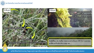 สถาบันส่งเสริมการสอนวิทยาศาสตร์และเทคโนโลยี
ครูวิชัยลิขิตพรรักษ์ ตาแหน่งครู วิทยฐานะครูชานาญการพิเศษ(คศ.3)กลุ่มสาระการเรียนรู้วิทยาศาสตร์และเทคโนโลยี โรงเรียนวัดราชบพิธ สพม.กท.1
 