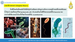 สถาบันส่งเสริมการสอนวิทยาศาสตร์และเทคโนโลยี
ครูวิชัยลิขิตพรรักษ์ ตาแหน่งครู วิทยฐานะครูชานาญการพิเศษ(คศ.3)กลุ่มสาระการเรียนรู้วิทยาศาสตร์และเทคโนโลยี โรงเรียนวัดราชบพิธ สพม.กท.1
สิ่งมีชีวิตชนิดที่เซลล์ยังไม่มีเยื่อหุ้มนิวเคลียสสารพันธุกรรมจึงกระจายอยู่ทั่วเซลล์ซึ่งเซลล์ลักษณะ
นี้ เรียกว่า เซลล์โพรคาริโอต (prokaryotic cell) ประกอบด้วย สิ่งมีชีวิตพวกแบคทีเรีย (bacteria) และ
สาหร่ายสีเขียวแกมน้าเงินหรือไซยาโนแบคทีเรีย (cyanobacteria)
อาณาจักรมอเนอรา (Kingdom Monera)
 