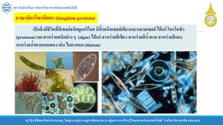 สถาบันส่งเสริมการสอนวิทยาศาสตร์และเทคโนโลยี
ครูวิชัยลิขิตพรรักษ์ ตาแหน่งครู วิทยฐานะครูชานาญการพิเศษ(คศ.3)กลุ่มสาระการเรียนรู้วิทยาศาสตร์และเทคโนโลยี โรงเรียนวัดราชบพิธ สพม.กท.1
เป็นสิ่งมีชีวิตที่มีเซลล์ชนิดยูแคริโอต มีทั้งชนิดเซลล์เดียวและหลายเซลล์ ได้แก่ โพรโทซัว
(protozoa) และสาหร่ายชนิดต่าง ๆ (algae) ได้แก่ สาหร่ายสีเขียว สาหร่ายสีน้าตาล สาหร่ายสีแดง
สาหร่ายน้าตาลแกมทองเช่น ไดอะตอม (diatom)
อาณาจักรโพรติสตา (kingdom protista)
 