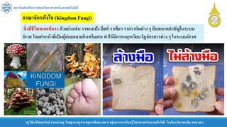 สถาบันส่งเสริมการสอนวิทยาศาสตร์และเทคโนโลยี
ครูวิชัยลิขิตพรรักษ์ ตาแหน่งครู วิทยฐานะครูชานาญการพิเศษ(คศ.3)กลุ่มสาระการเรียนรู้วิทยาศาสตร์และเทคโนโลยี โรงเรียนวัดราชบพิธ สพม.กท.1
อาณาจักรฟังไจ (Kingdom Fungi)
สิ่งมีชีวิตพวกเห็ดรา ตัวอย่างเช่น ราขนมปัง ยีสต์ ราเขียว ราดา เห็ตต่าง ๆ มีบทบาทสาคัญในระบบ
นิเวศ โดยทาหน้าที่เป็นผู้ย่อยสลายอินทรียสารทาให้มีการหมุนเวียนวัฏจักรสารต่าง ๆ ในระบบนิเวศ
 