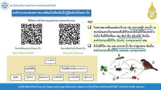 สถาบันส่งเสริมการสอนวิทยาศาสตร์และเทคโนโลยี
ครูวิชัยลิขิตพรรักษ์ ตาแหน่งครู วิทยฐานะครูชานาญการพิเศษ(คศ.3)กลุ่มสาระการเรียนรู้วิทยาศาสตร์และเทคโนโลยี โรงเรียนวัดราชบพิธ สพม.กท.1
https://bit.ly/3o0G4zB https://bit.ly/2XSLces
 