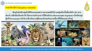 สถาบันส่งเสริมการสอนวิทยาศาสตร์และเทคโนโลยี
ครูวิชัยลิขิตพรรักษ์ ตาแหน่งครู วิทยฐานะครูชานาญการพิเศษ(คศ.3)กลุ่มสาระการเรียนรู้วิทยาศาสตร์และเทคโนโลยี โรงเรียนวัดราชบพิธ สพม.กท.1
ปัจจุบันจัดเป็นกลุ่มสิ่งมีชีวิตหลายเซลล์ บางพวกเซลล์ยังไม่รวมกลุ่มเป็นเนื้อเยื่อแท้จริง เช่น พวก
ฟองน้า แต่สิ่งที่เหมือนกัน คือ ไม่สามารถสร้างอาหารได้ด้วยตัวเอง (Heterotrophic Organism) หรือเป็นกลุ่ม
ผู้บริโภค (consumer) มีอวัยวะเกี่ยวกับความรู้สึกและสังเกตเห็นการเคลื่อนที่ได้ชัดเจนส่วนใหญ่
อาณาจักรสัตว์ (Kingdom Animalia)
 