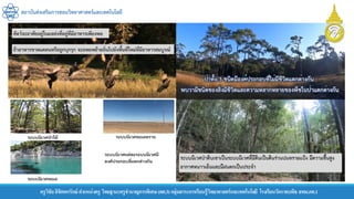 สถาบันส่งเสริมการสอนวิทยาศาสตร์และเทคโนโลยี
ครูวิชัยลิขิตพรรักษ์ ตาแหน่งครู วิทยฐานะครูชานาญการพิเศษ(คศ.3)กลุ่มสาระการเรียนรู้วิทยาศาสตร์และเทคโนโลยี โรงเรียนวัดราชบพิธ สพม.กท.1
 