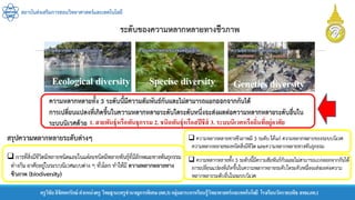 สถาบันส่งเสริมการสอนวิทยาศาสตร์และเทคโนโลยี
ครูวิชัยลิขิตพรรักษ์ ตาแหน่งครู วิทยฐานะครูชานาญการพิเศษ(คศ.3)กลุ่มสาระการเรียนรู้วิทยาศาสตร์และเทคโนโลยี โรงเรียนวัดราชบพิธ สพม.กท.1
Ecological diversity Specise diversity Genetics diversity
1. สายพันธุ์หรือพันธุกรรม 2. ชนิดพันธุ์หรือสปีชีส์ 3. ระบบนิเวศหรือถิ่นที่อยู่อาศัย
 