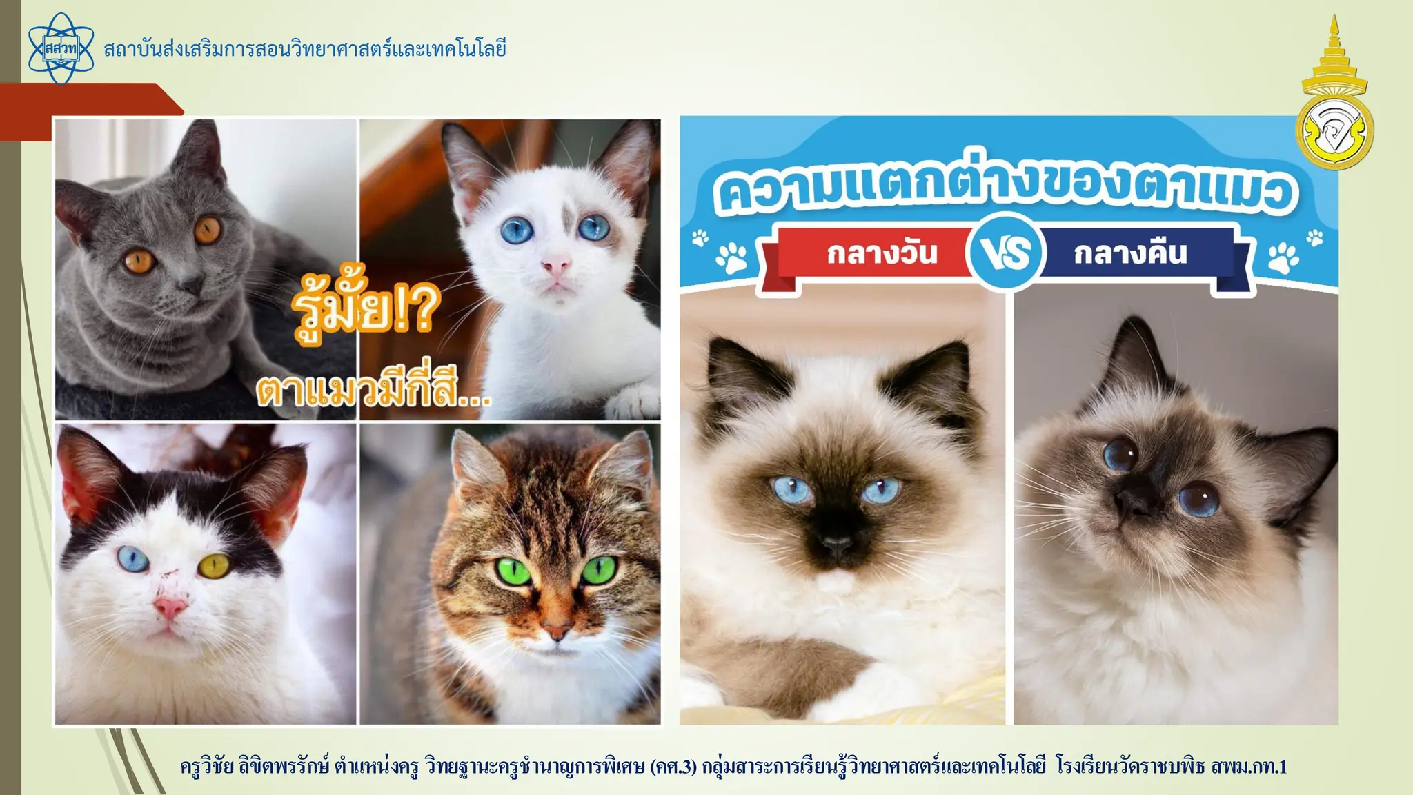 สถาบันส่งเสริมการสอนวิทยาศาสตร์และเทคโนโลยี
ครูวิชัยลิขิตพรรักษ์ ตาแหน่งครู วิทยฐานะครูชานาญการพิเศษ(คศ.3)กลุ่มสาระการเรียนรู้วิทยาศาสตร์และเทคโนโลยี โรงเรียนวัดราชบพิธ สพม.กท.1
 