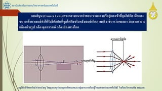 สถาบันส่งเสริมการสอนวิทยาศาสตร์และเทคโนโลยี
ครูวิชัยลิขิตพรรักษ์ ตาแหน่งครู วิทยฐานะครูชานาญการพิเศษ(คศ.3)กลุ่มสาระการเรียนรู้วิทยาศาสตร์และเทคโนโลยี โรงเรียนวัดราชบพิธ สพม.กท.1
เลนส์นูน (Convex Lens) ตรงกลางหนากว่าขอบ รวมแสงหรือลู่แสงเข้าที่จุดโฟกัส เมื่อแสง
ขนานเข้าหาเลนส์ทาให้รังสีตัดกันที่จุดโฟกัสจริงหลังเลนส์เกิดภาพจริง เช่น แว่นขยาย แว่นสายตายาว
กล้องถ่ายรูป กล้องจุลทรรศน์ กล้องส่องทางไกล
 