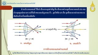 สถาบันส่งเสริมการสอนวิทยาศาสตร์และเทคโนโลยี
ครูวิชัยลิขิตพรรักษ์ ตาแหน่งครู วิทยฐานะครูชานาญการพิเศษ(คศ.3)กลุ่มสาระการเรียนรู้วิทยาศาสตร์และเทคโนโลยี โรงเรียนวัดราชบพิธ สพม.กท.1
ส่วนประกอบเลนส์ ได้แก่ เส้นแกนมุขสาคัญ คือ เส้นลากผ่านจุดกึ่งกลางเลนส์ (O) และ
ผ่านจุดศูนย์กลางความโค้งผิวของเลนส์นูนและเว้า , จุดโฟกัส (F) คือ จุดที่แสงจากลาแสงขนาน
ตัดกันจริงหรือเสมือนตัดกัน
 
