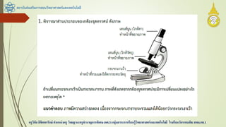 สถาบันส่งเสริมการสอนวิทยาศาสตร์และเทคโนโลยี
ครูวิชัยลิขิตพรรักษ์ ตาแหน่งครู วิทยฐานะครูชานาญการพิเศษ(คศ.3)กลุ่มสาระการเรียนรู้วิทยาศาสตร์และเทคโนโลยี โรงเรียนวัดราชบพิธ สพม.กท.1
 