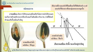 สถาบันส่งเสริมการสอนวิทยาศาสตร์และเทคโนโลยี
ครูวิชัยลิขิตพรรักษ์ ตาแหน่งครู วิทยฐานะครูชานาญการพิเศษ(คศ.3)กลุ่มสาระการเรียนรู้วิทยาศาสตร์และเทคโนโลยี โรงเรียนวัดราชบพิธ สพม.กท.1
เป็นภาพที่เรามองเห็นได้โดยที่แสงไม่ได้ตัดกันจริง ๆ แต่
มองเห็นได้จากการที่แสงพุ่งออกมาจากจุดนั้น
ภาพเสมือนหัวตั้ง
หลังช้อน : โค้งนูน
ภาพจริงหัวกลับ
หน้าช้อน : โค้งเว้า
 