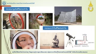 สถาบันส่งเสริมการสอนวิทยาศาสตร์และเทคโนโลยี
ครูวิชัยลิขิตพรรักษ์ ตาแหน่งครู วิทยฐานะครูชานาญการพิเศษ(คศ.3)กลุ่มสาระการเรียนรู้วิทยาศาสตร์และเทคโนโลยี โรงเรียนวัดราชบพิธ สพม.กท.1
 