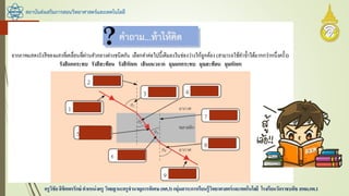 สถาบันส่งเสริมการสอนวิทยาศาสตร์และเทคโนโลยี
ครูวิชัยลิขิตพรรักษ์ ตาแหน่งครู วิทยฐานะครูชานาญการพิเศษ(คศ.3)กลุ่มสาระการเรียนรู้วิทยาศาสตร์และเทคโนโลยี โรงเรียนวัดราชบพิธ สพม.กท.1
 