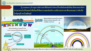 สถาบันส่งเสริมการสอนวิทยาศาสตร์และเทคโนโลยี
ครูวิชัยลิขิตพรรักษ์ ตาแหน่งครู วิทยฐานะครูชานาญการพิเศษ(คศ.3)กลุ่มสาระการเรียนรู้วิทยาศาสตร์และเทคโนโลยี โรงเรียนวัดราชบพิธ สพม.กท.1
รุ้ง (rainbow) ปรากฏการณ์ธรรมชาติมักพบช่วงก่อนหรือหลังฝนตกเล็กน้อย เกิดจากแสงหักเห
ผ่านละอองน้าหรือหยดน้าที่คล้ายปริซึมกระจายสเปกตรัม หากพิจารณาการสะท้อนแสงแยก 2 ชนิด คือ
รุ้งปฐมภูมิ และรุ้งทุติยภูมิ
 