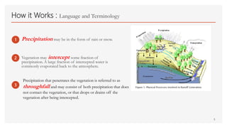 Interception In Geography 2. Lecture Notes_Hydrologic Cycle_Water Balance_24.pdf