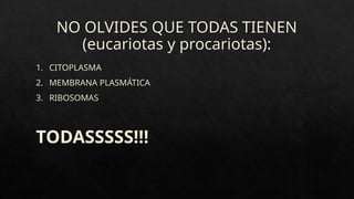 NO OLVIDES QUE TODAS TIENEN
(eucariotas y procariotas):
1. CITOPLASMA
2. MEMBRANA PLASMÁTICA
3. RIBOSOMAS
TODASSSSS!!!
 