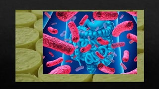 BACTERIAS BENEFICIOSAS
 