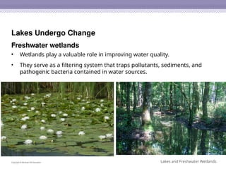 2. Streams and Lakes Earth Science .pptx