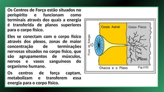 Os Centros de Força estão situados no
perispírito e funcionam como
terminais através dos quais a energia
é transferida de planos superiores
para o corpo físico.
Eles se conectam com o corpo físico
através dos plexos, zonas de maior
concentração de terminações
nervosas situados no corpo físico, que
são agrupamentos de músculos,
nervos e vasos sanguíneos do
organismo humano.
Os centros de força captam,
metabolizam e transferem essa
energia para o corpo físico.
 