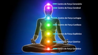 Centro de Força Coronário
https://www.cristaisaquarius.com.br/blog/chakras/
Centro de Força Cerebral
Centro de Força Laríngeo
Centro de Força Cardíaco
Centro de Força Esplênico
Centro de Força Gástrico
Centro de Força Genésico
 