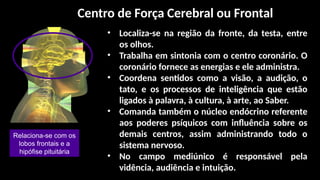 • Localiza-se na região da fronte, da testa, entre
os olhos.
• Trabalha em sintonia com o centro coronário. O
coronário fornece as energias e ele administra.
• Coordena sentidos como a visão, a audição, o
tato, e os processos de inteligência que estão
ligados à palavra, à cultura, à arte, ao Saber.
• Comanda também o núcleo endócrino referente
aos poderes psíquicos com influência sobre os
demais centros, assim administrando todo o
sistema nervoso.
• No campo mediúnico é responsável pela
vidência, audiência e intuição.
Relaciona-se com os
lobos frontais e a
hipófise pituitária
Centro de Força Cerebral ou Frontal
 