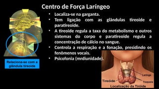 • Localiza-se na garganta.
• Tem ligação com as glândulas tireoide e
paratireoide.
• A tireoide regula a taxa do metabolismo e outros
sistemas do corpo e paratireoide regula a
concentração de cálcio no sangue.
• Controla a respiração e a fonação, presidindo os
fenômenos vocais.
• Psicofonia (mrdiunidade).
Relaciona-se com a
glândula tireoide
Centro de Força Laríngeo
 
