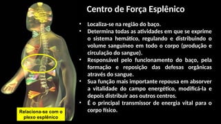 • Localiza-se na região do baço.
• Determina todas as atividades em que se exprime
o sistema hemático, regulando e distribuindo o
volume sanguíneo em todo o corpo (produção e
circulação do sangue).
• Responsável pelo funcionamento do baço, pela
formação e reposição das defesas orgânicas
através do sangue.
• Sua função mais importante repousa em absorver
a vitalidade do campo energético, modificá-la e
depois distribuir aos outros centros.
• É o principal transmissor de energia vital para o
corpo físico.
Centro de Força Esplênico
Relaciona-se com o
plexo esplênico
 