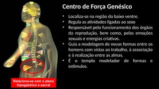• Localiza-se na região do baixo ventre.
• Regula as atividades ligadas ao sexo
• Responsável pelo funcionamento dos órgãos
da reprodução, bem como, pelas emoções
sexuais e energias criativas.
• Guia a modelagem de novas formas entre os
homens com vistas ao trabalho, à associação
e à realização entre as almas.
• É o templo modelador de formas e
estímulos.
Relaciona-se com o plexo
hipogástrico e sacral
Centro de Força Genésico
 