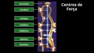 Centros de
Força
Coronário
Cerebral
Laríngeo
Cardíaco
Esplênico
Gástrico
Genésico
 