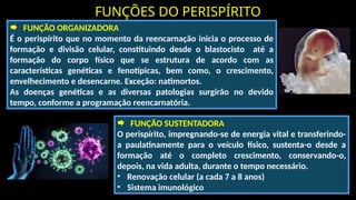 FUNÇÕES DO PERISPÍRITO
 FUNÇÃO ORGANIZADORA
É o perispírito que no momento da reencarnação inicia o processo de
formação e divisão celular, constituindo desde o blastocisto até a
formação do corpo físico que se estrutura de acordo com as
características genéticas e fenotípicas, bem como, o crescimento,
envelhecimento e desencarne. Exceção: natimortos.
As doenças genéticas e as diversas patologias surgirão no devido
tempo, conforme a programação reencarnatória.
 FUNÇÃO SUSTENTADORA
O perispírito, impregnando-se de energia vital e transferindo-
a paulatinamente para o veículo físico, sustenta-o desde a
formação até o completo crescimento, conservando-o,
depois, na vida adulta, durante o tempo necessário.
• Renovação celular (a cada 7 a 8 anos)
• Sistema imunológico
 